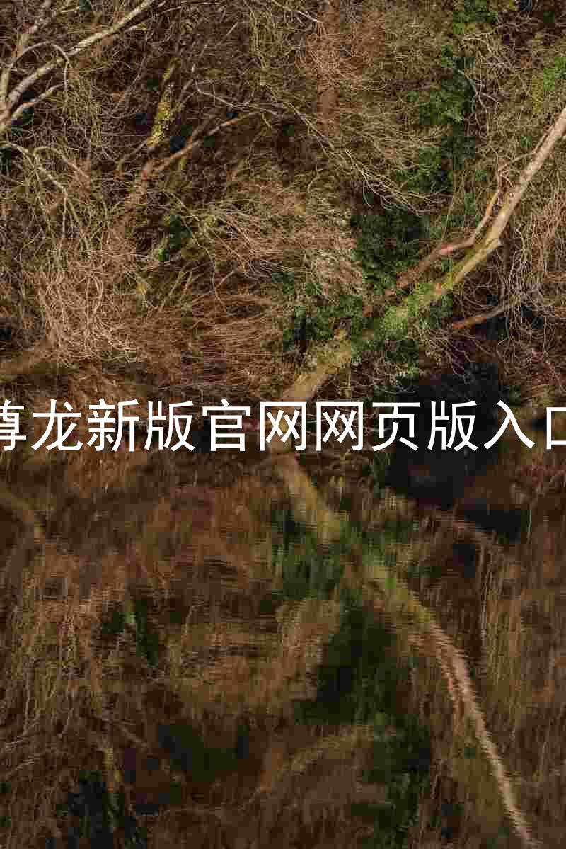 尊龙新版官网网页版入口