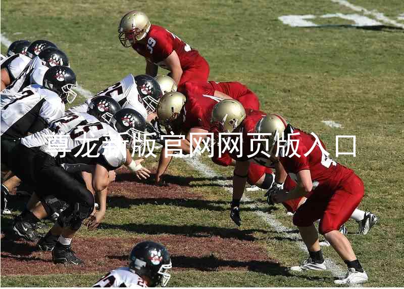 尊龙新版官网网页版入口