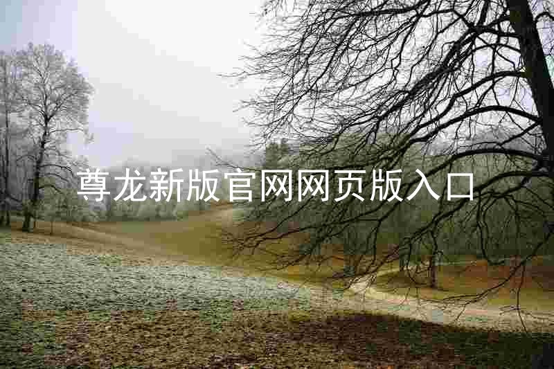 尊龙新版官网网页版入口